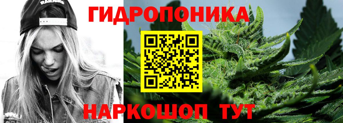 Похвистнево  Конопля тримм  Бошки Шишки сатива  Бошки марихуана ГИДРОПОН  Вход с VPN 